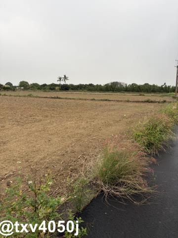 新化農地-4