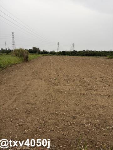 新化農地-6