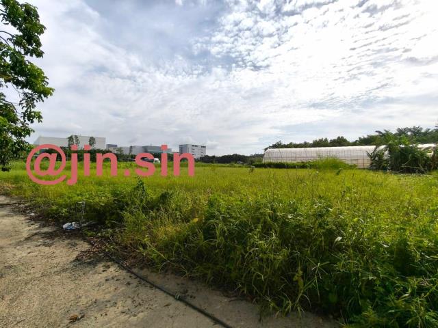 新市農地-2