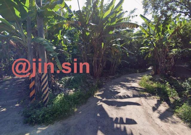 台南左鎮農地-0