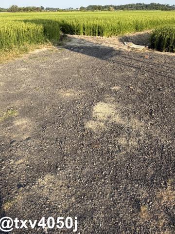 官田住宅地-1