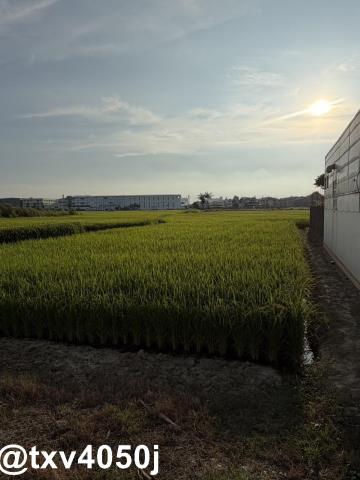 官田住宅地-2