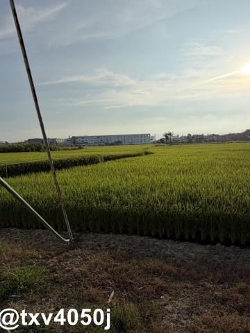 官田住宅地-4