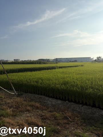 官田住宅地-5