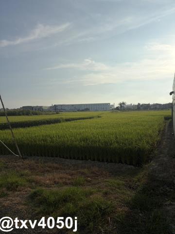 官田住宅地-6