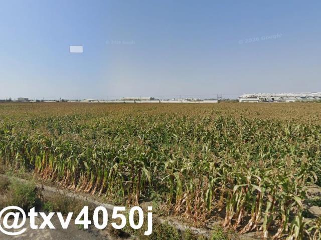 鹽水農地-0