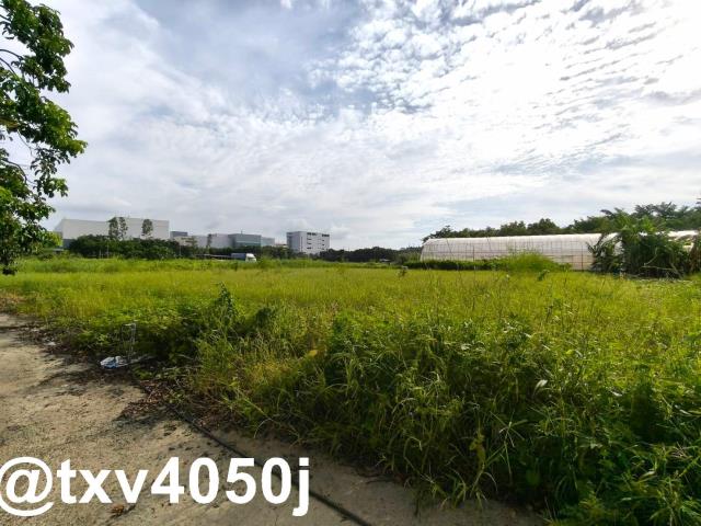 台南新市農地-2